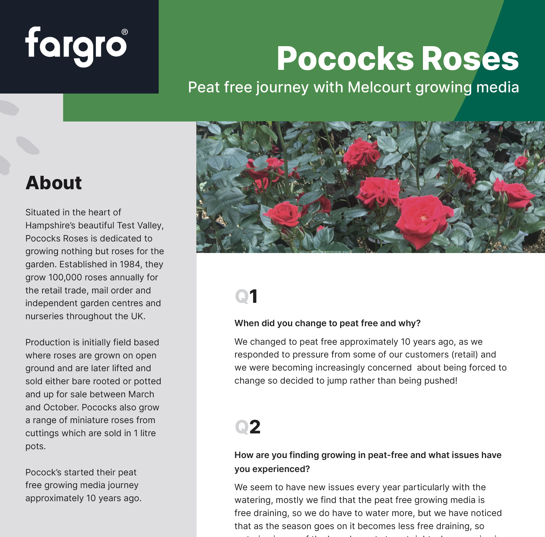 Pococks Roses Peat-Free Q&A