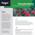 Pococks Roses Peat-Free Q&A