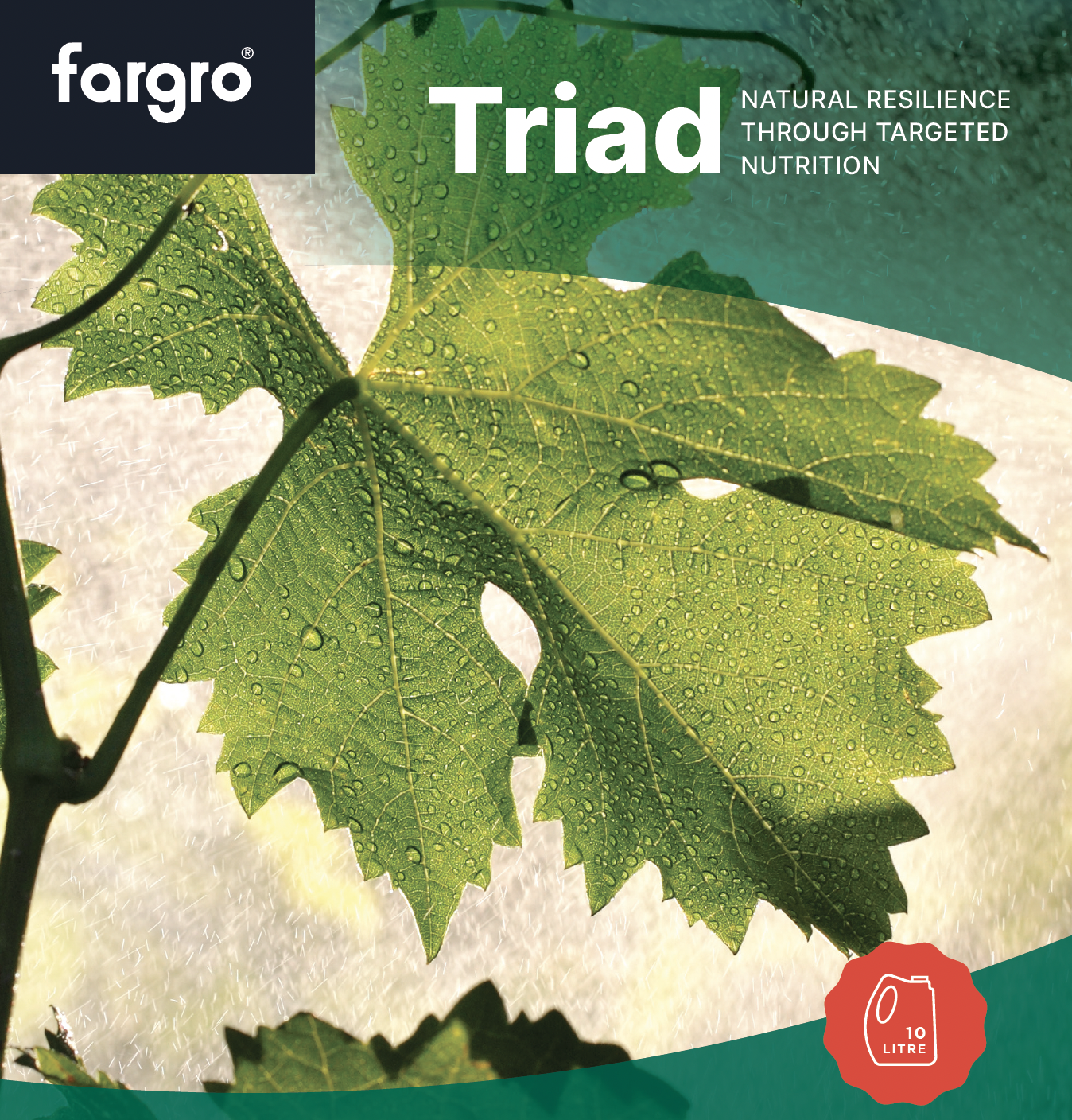 TRIAD - Aiva Suite of Products