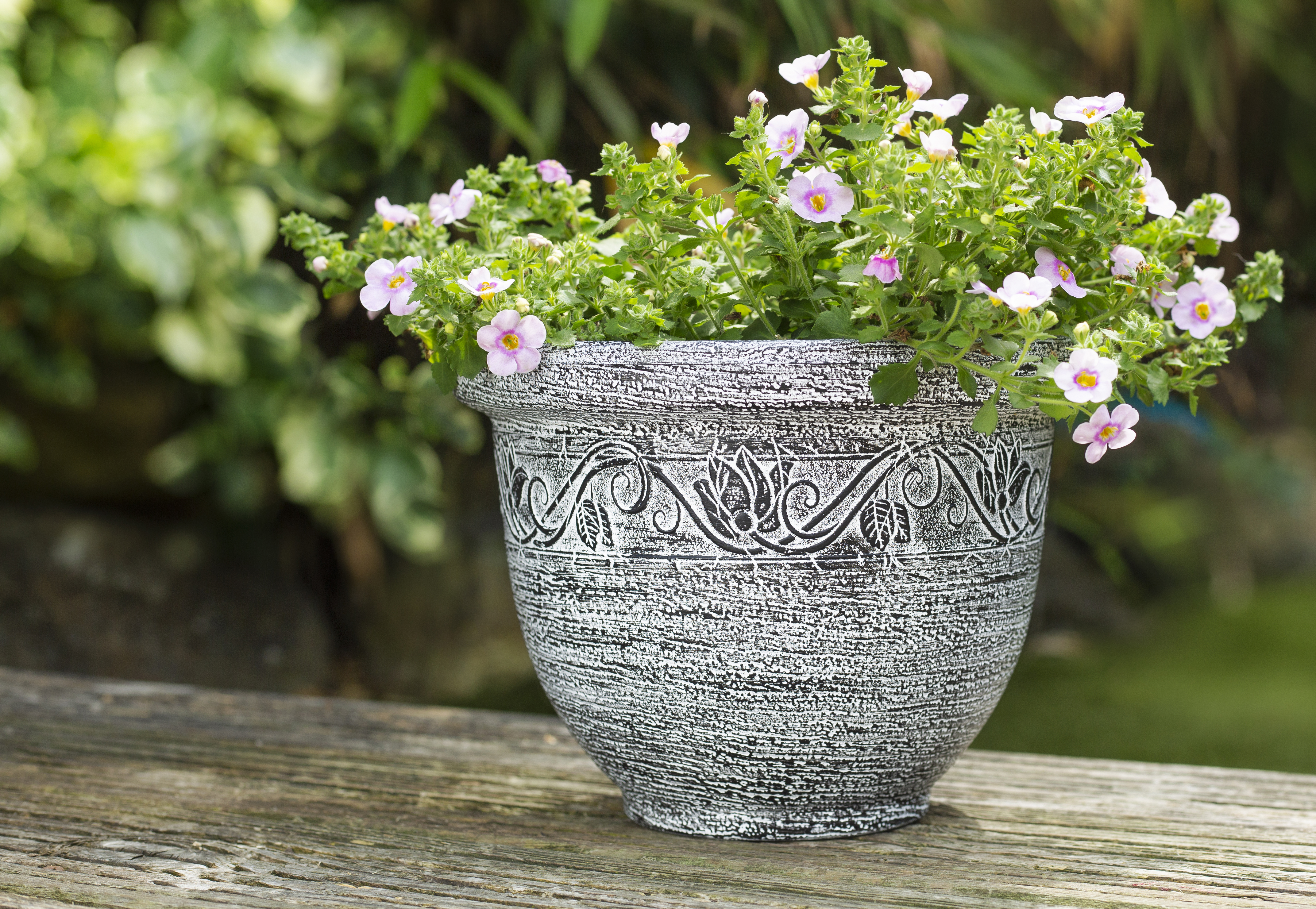 Plastic Bw Pot Landscape