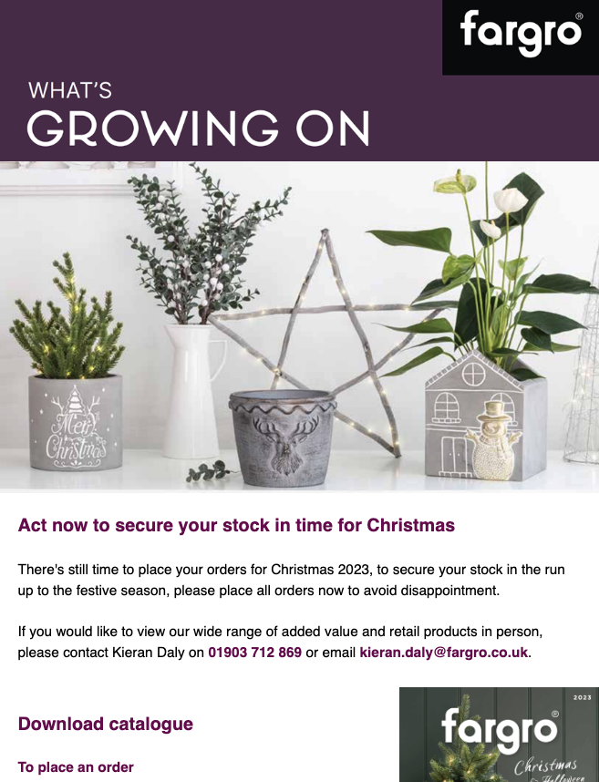 November: 17/11/2023