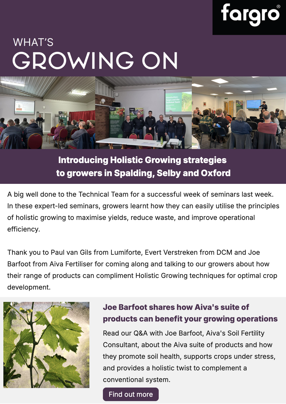 November: 22/11/2024