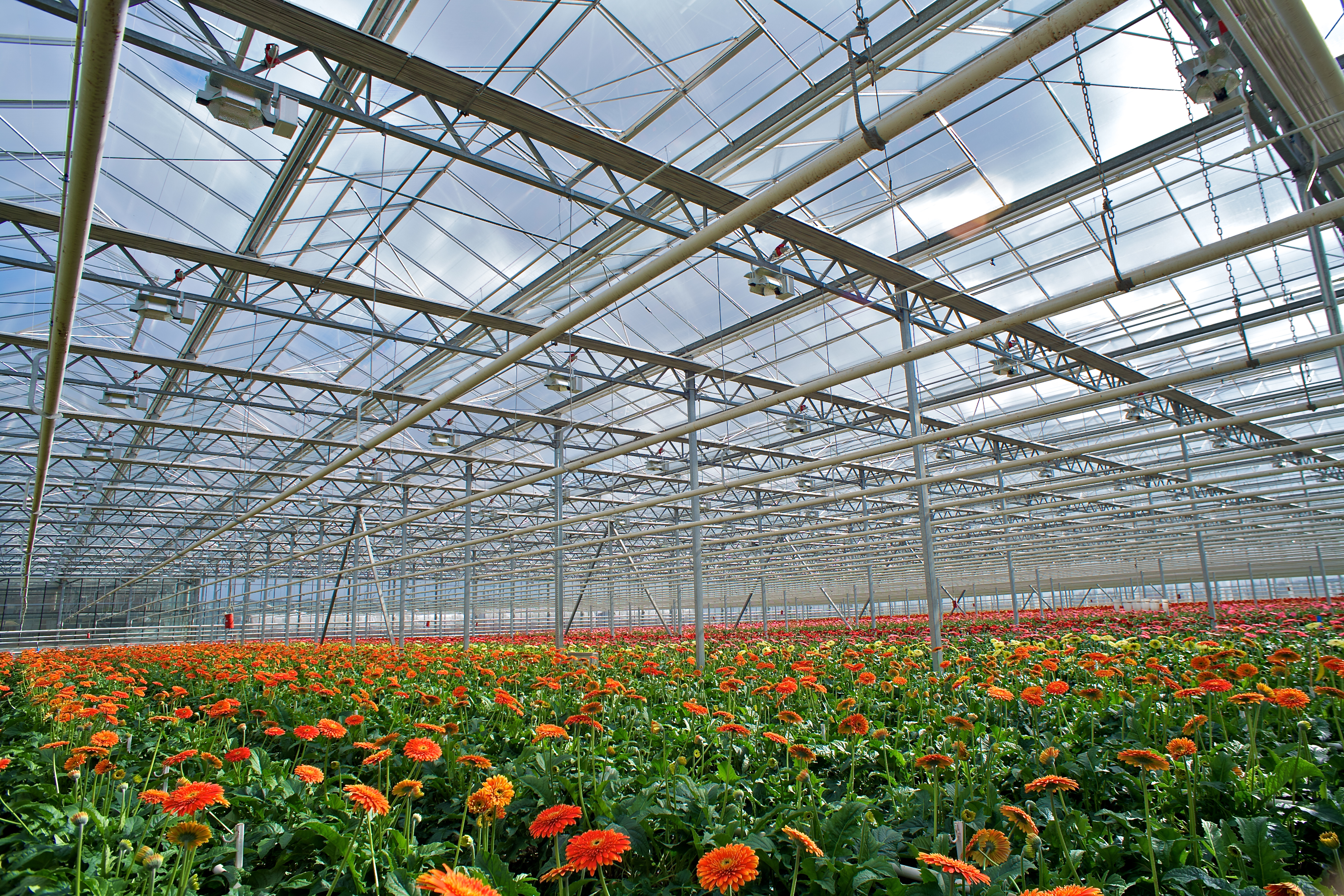 Https Cdn.Evbuc.Com Images 853348559 256820866319 1 Original (1)