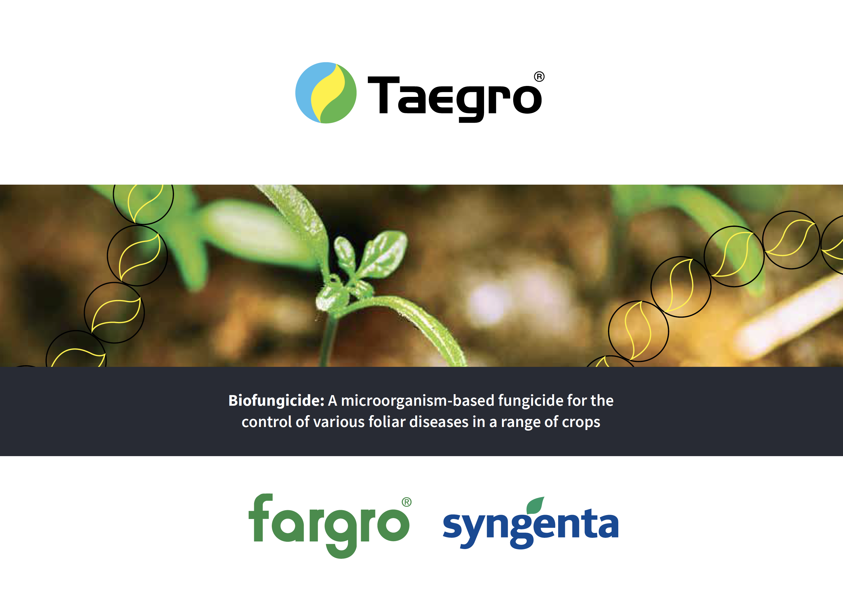 Taegro product flyer 2021