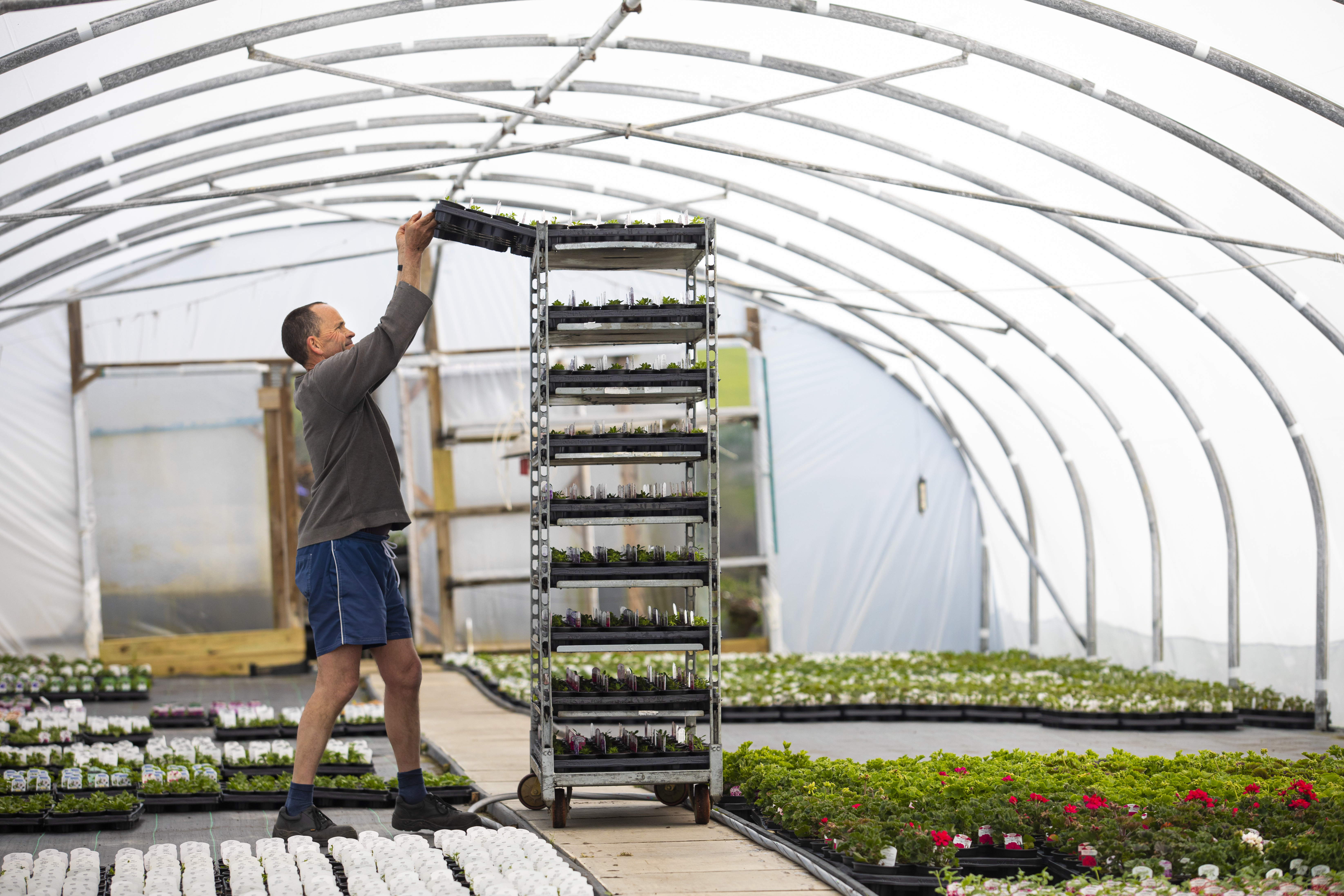 Productivity solutions