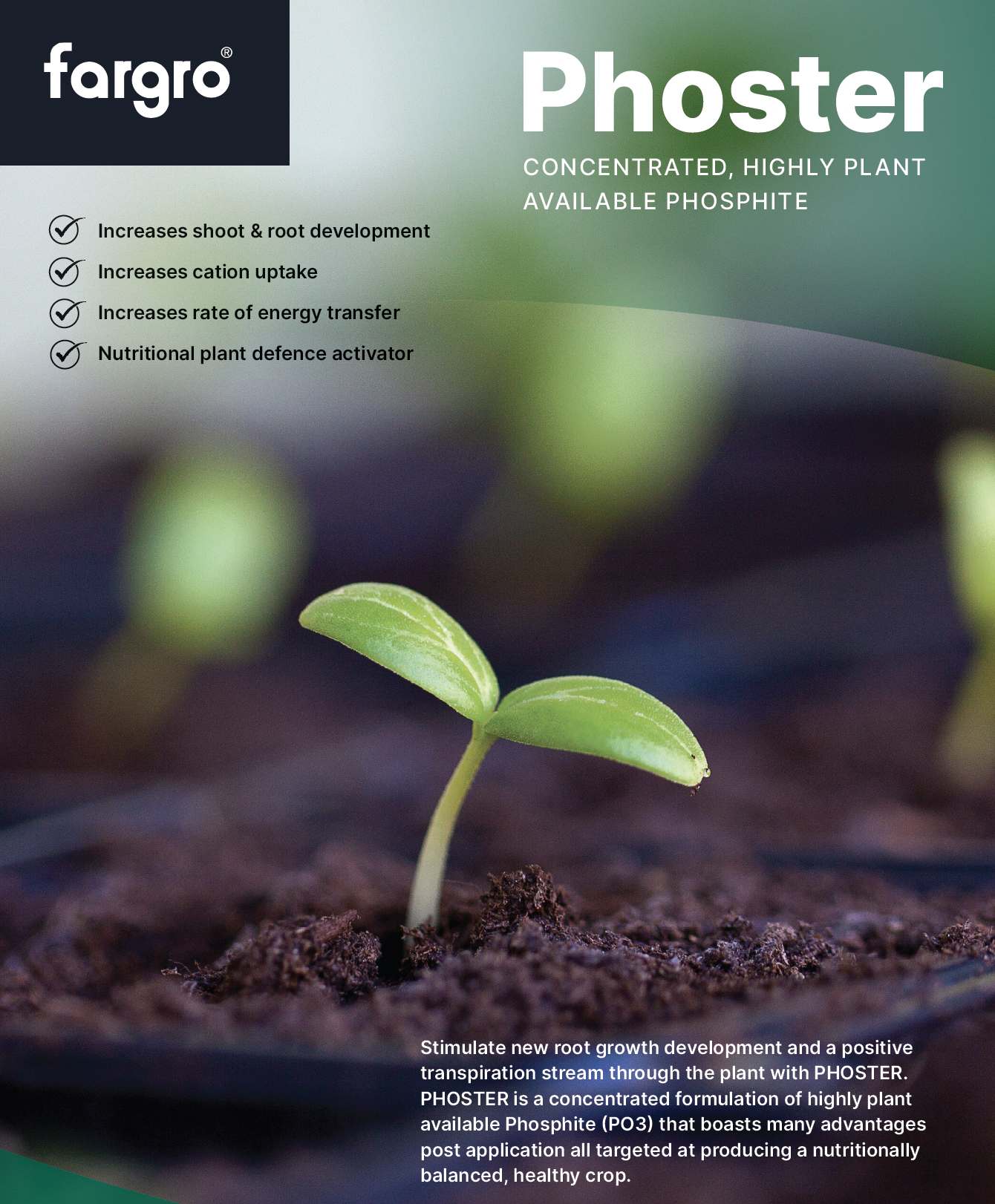 PHOSTER - Aiva Suite of Products