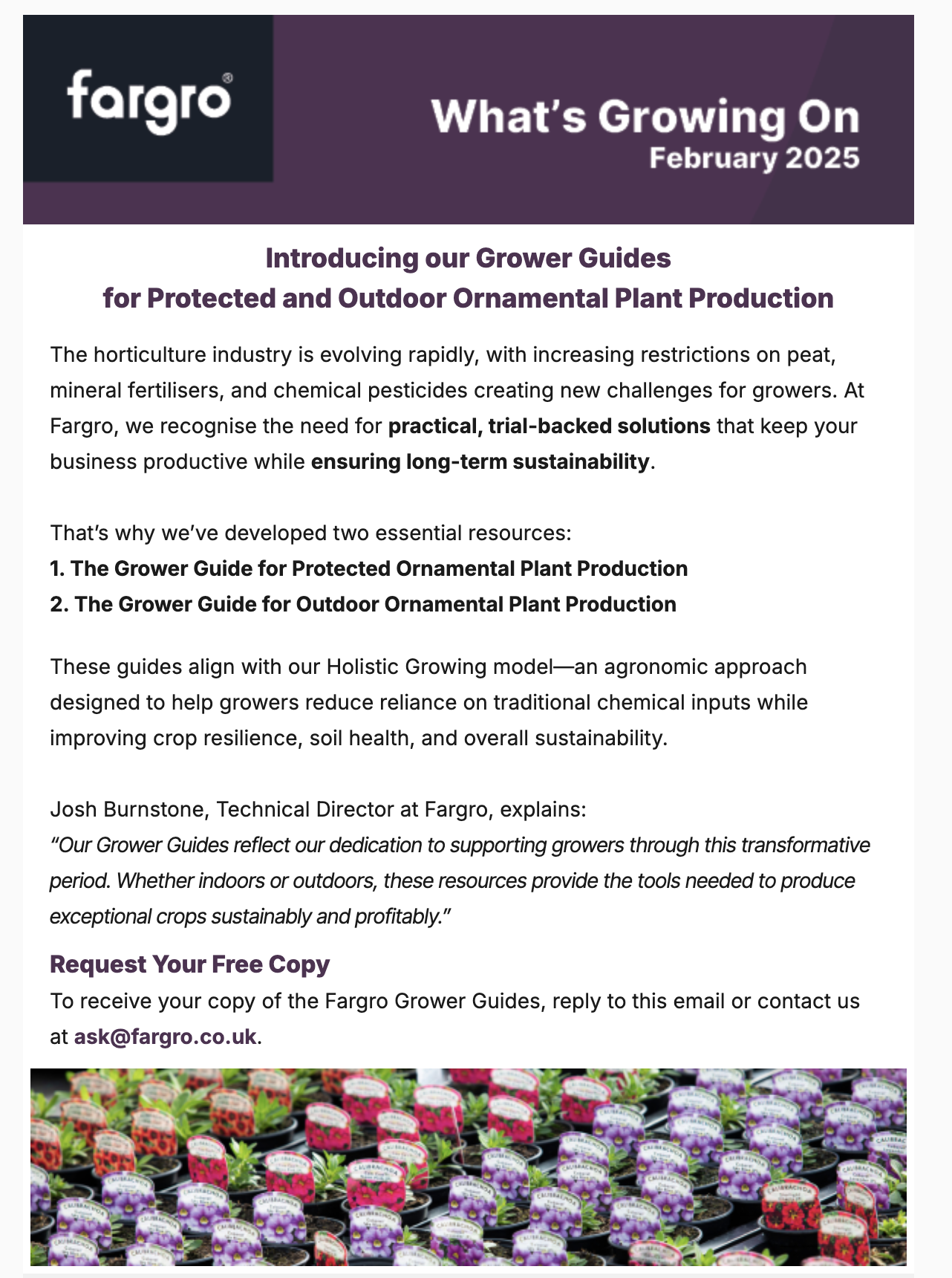 February: 28/02/2025