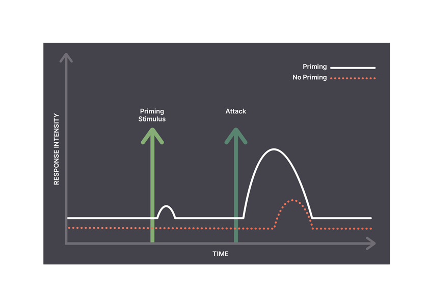 Neo-Prime Technology - How it works