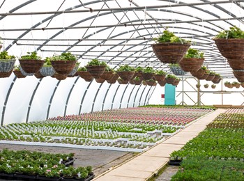 Growing environment solutions