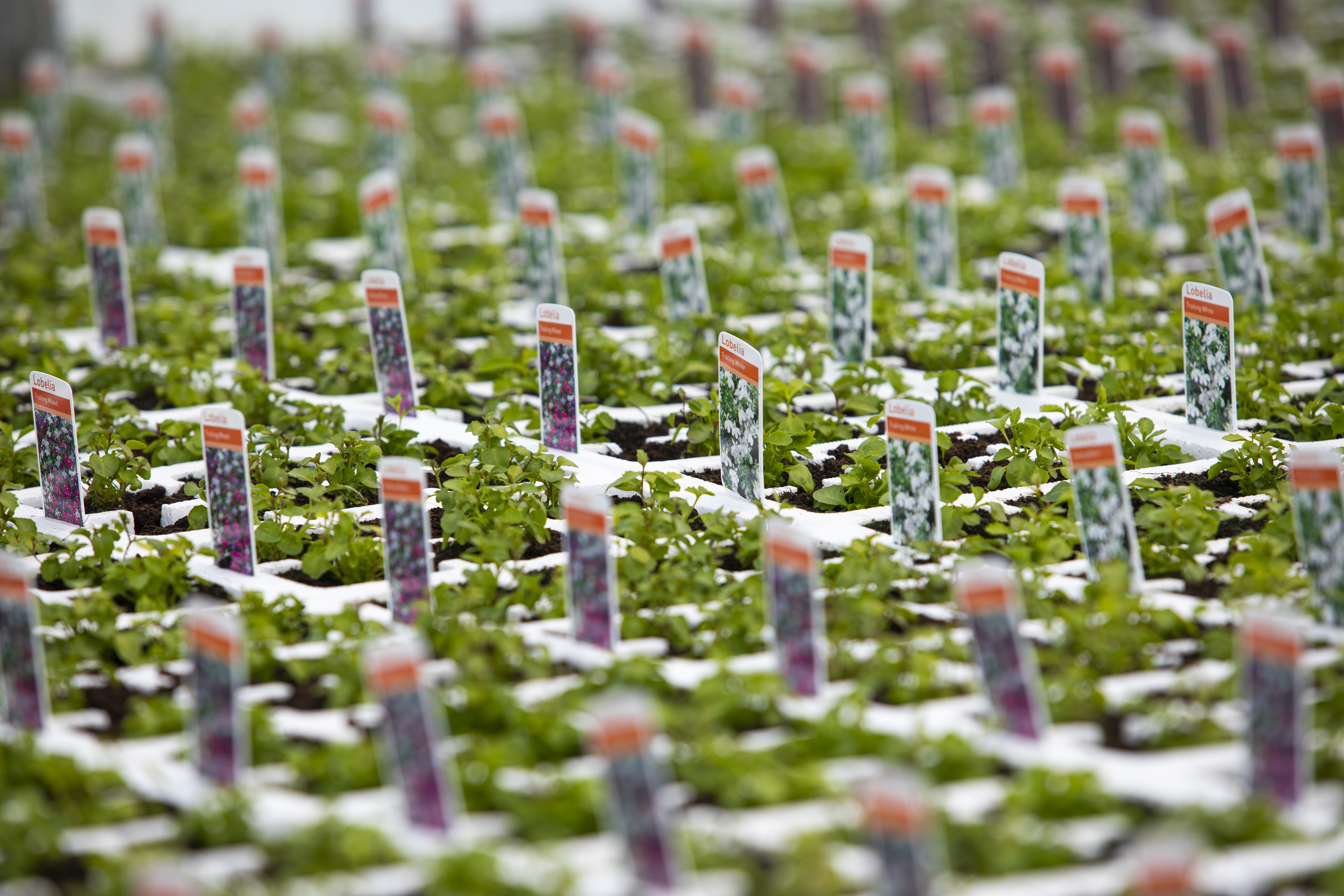 Crop protection product information