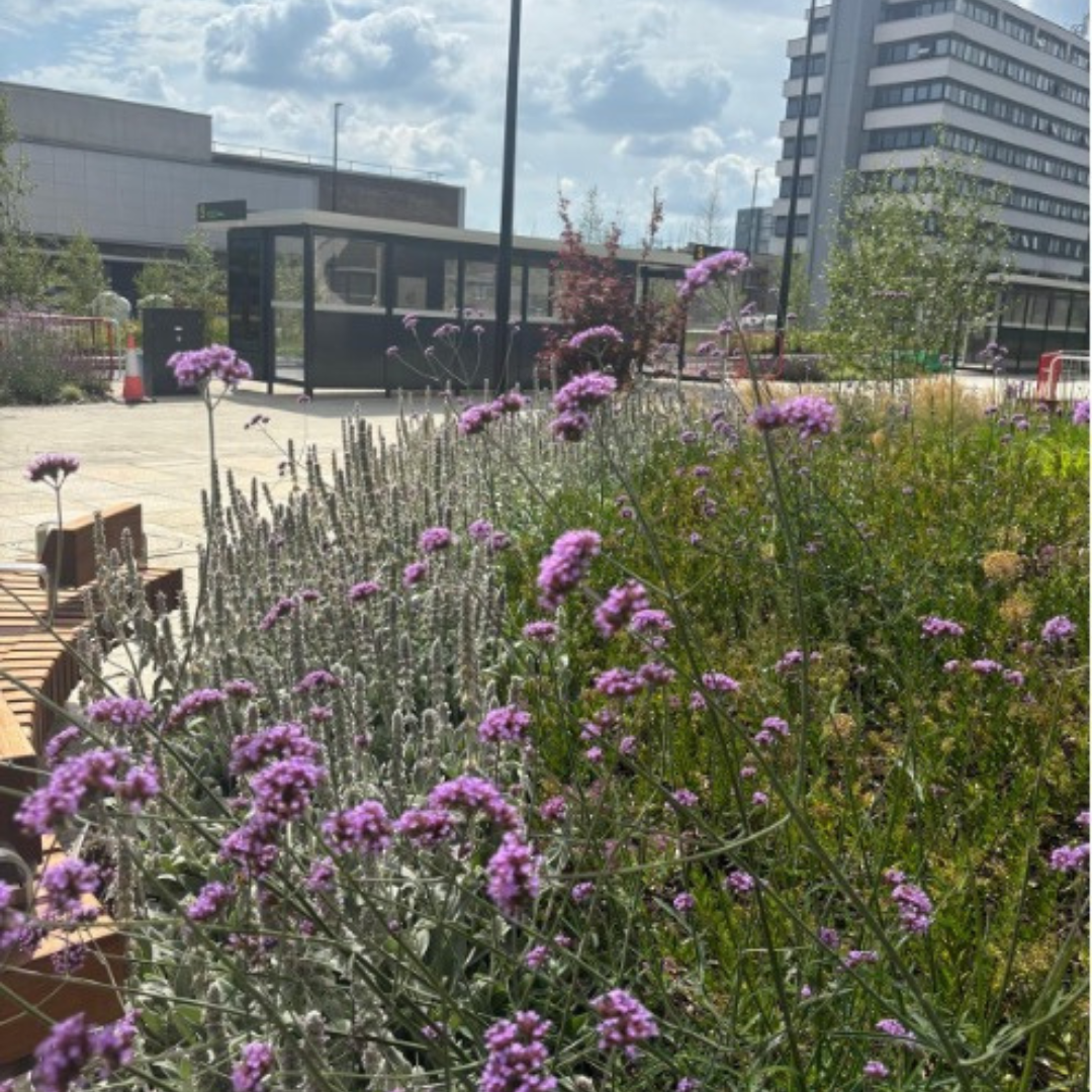 Projects in Practice