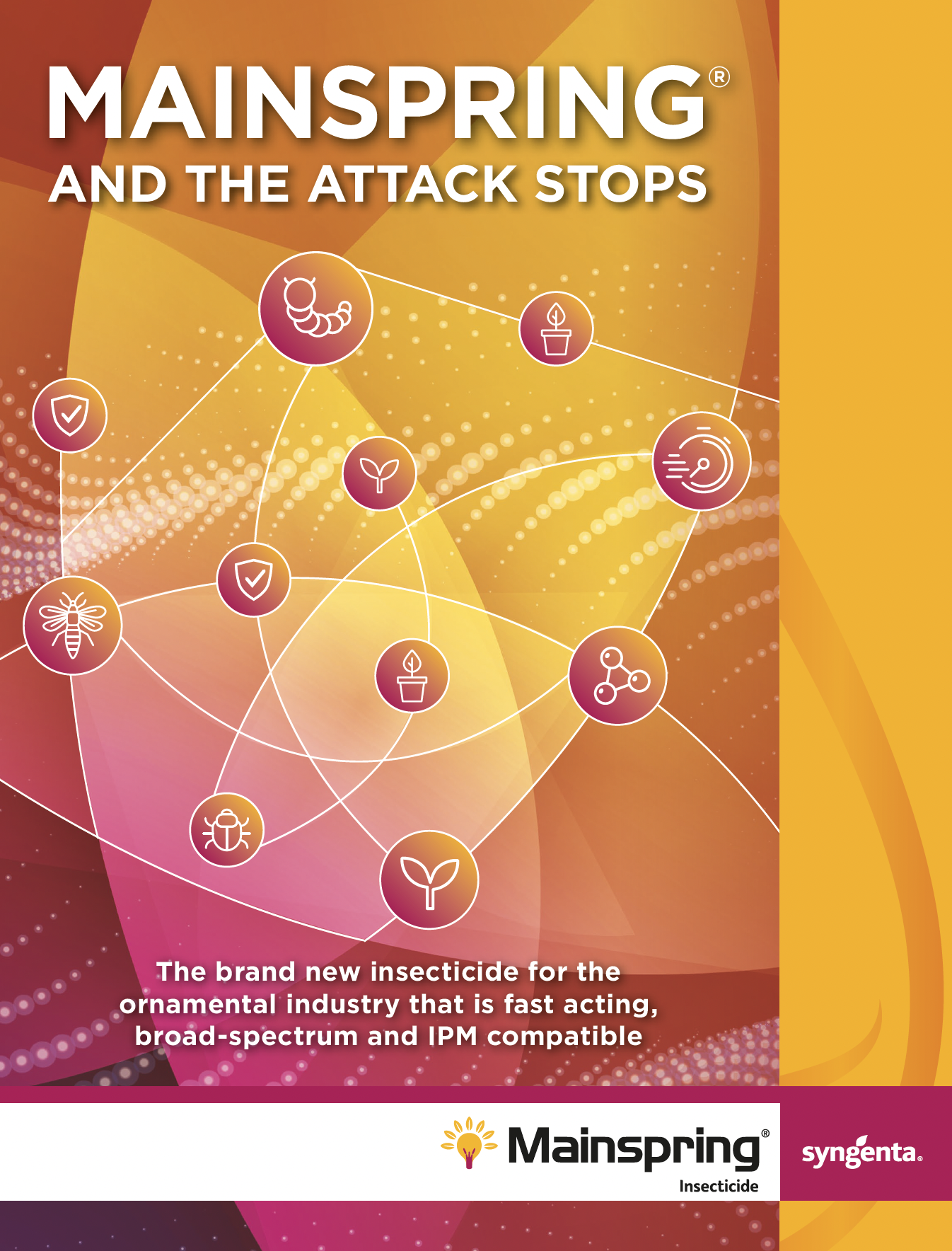 Mainspring Tech Guide