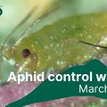 Biopesticides for the control of soft bodied pests with Technical Development Manager, Ant Surrage