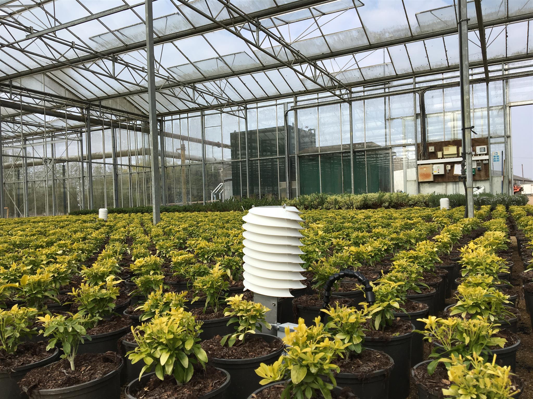 30MHz in a greenhouse