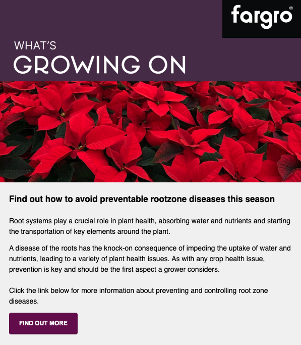 December: 02/12/2022