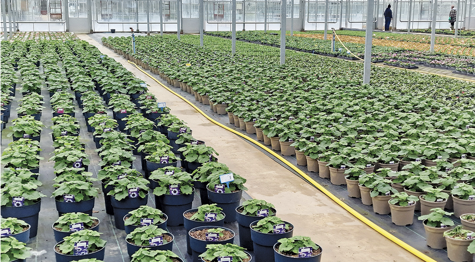 Screenshot 2024 07 19 At 13.30.20