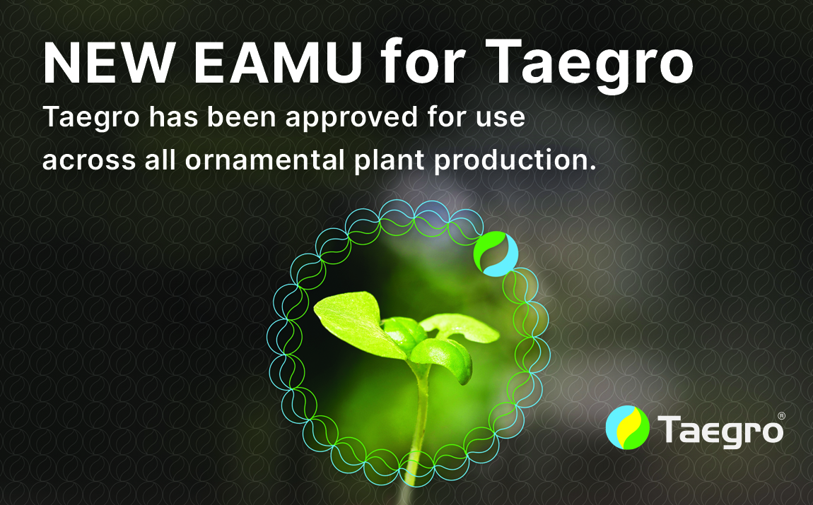 New EAMU for Taegro