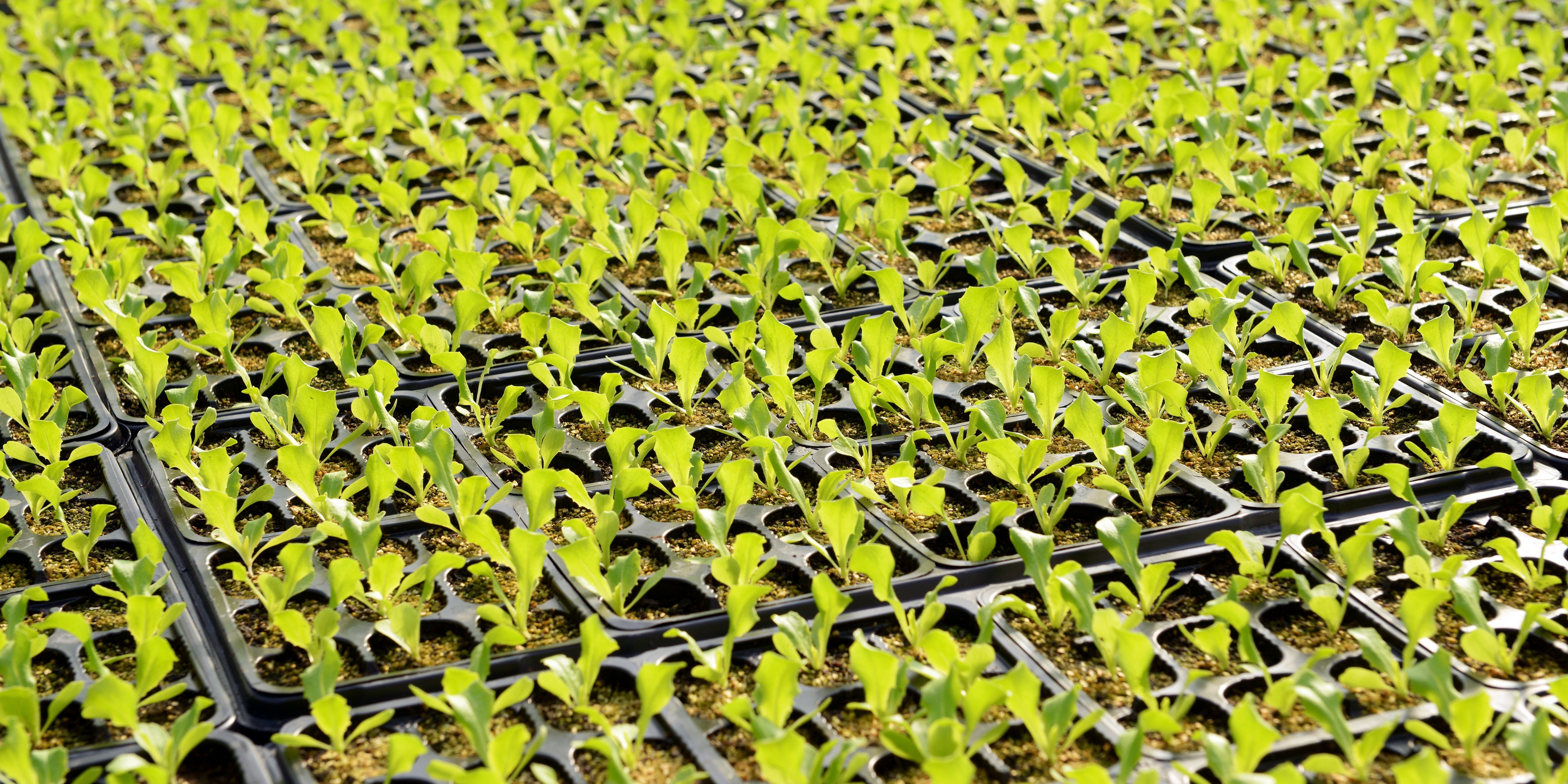 Propagation 5 Essentials For Success