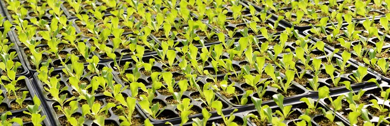 Propagation 5 Essentials For Success