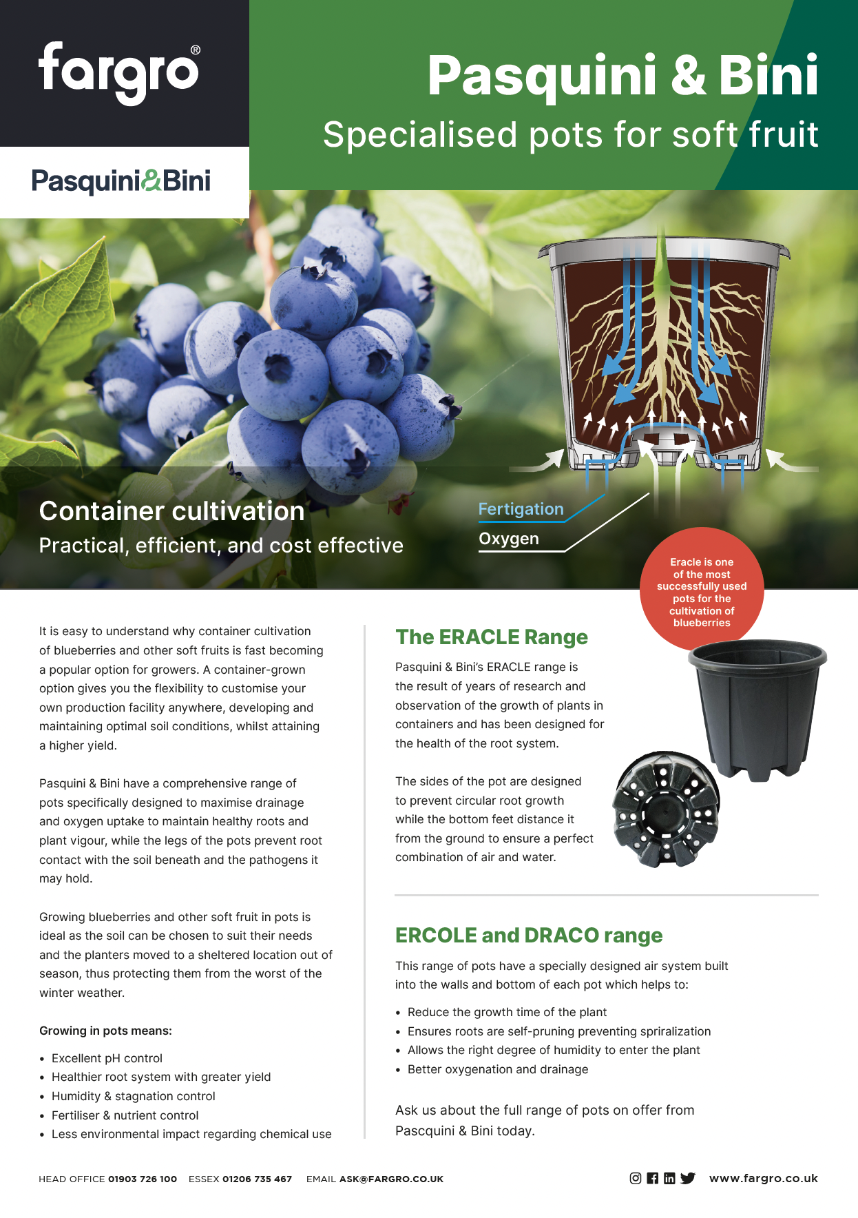 Pasquini & Bini: specialist pots for soft fruit