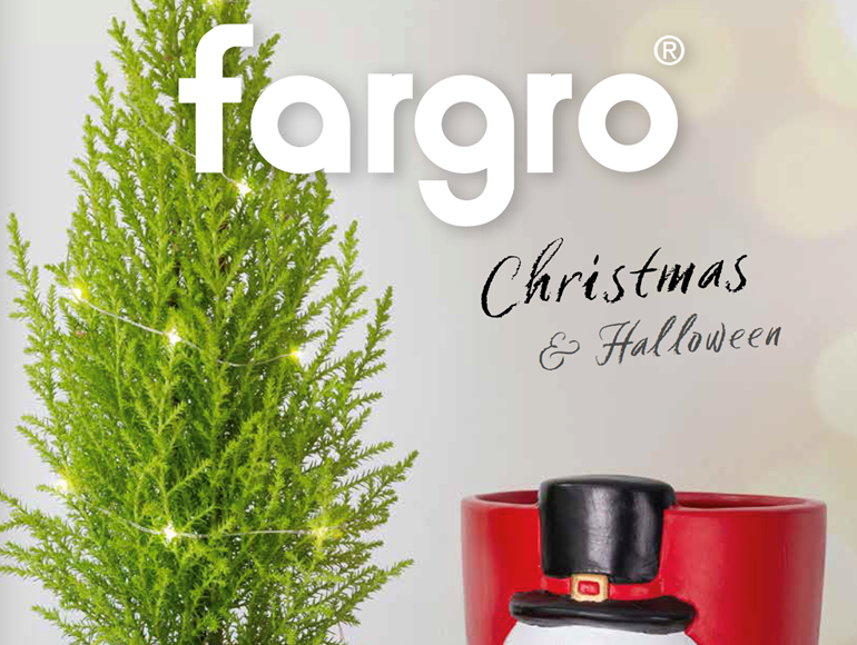HOMEPAGE IMAGE