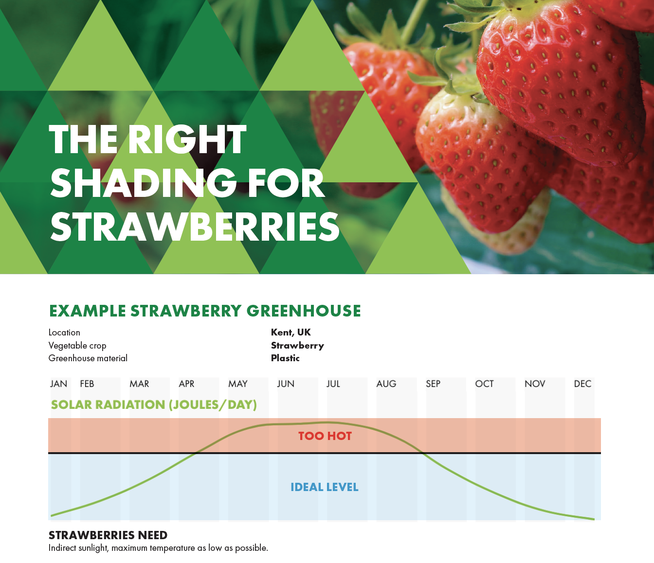 The Right Shading for Strawberries