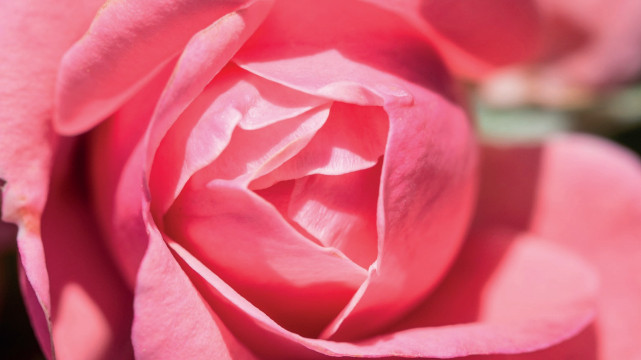 Mainspring insecticide