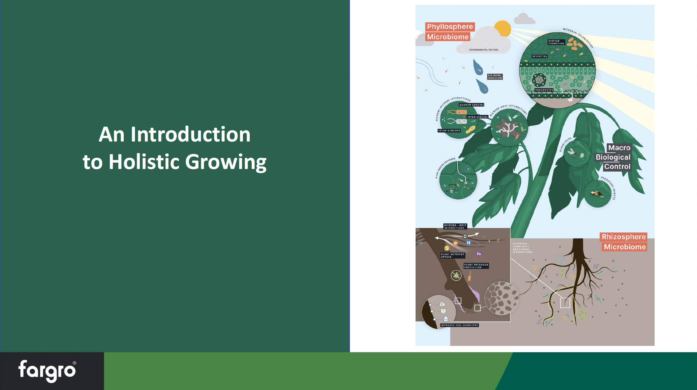 Presentation: An Introduction to Holistic Growing