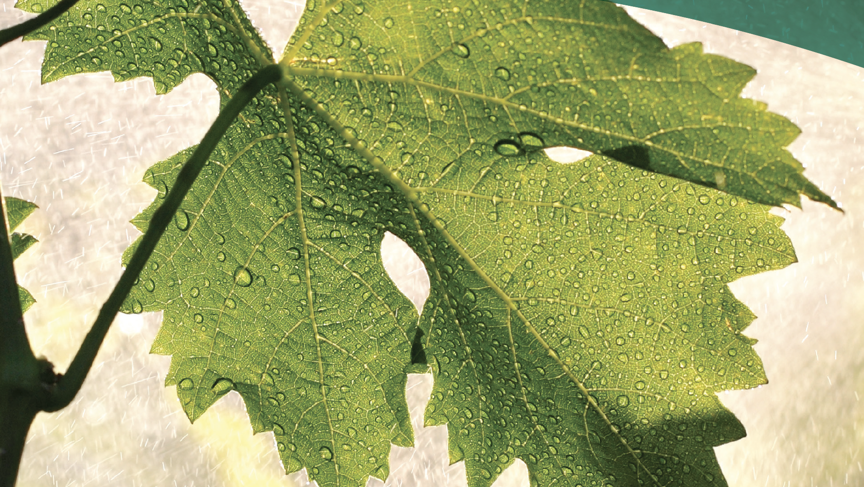 Screenshot 2024 10 21 At 13.29.10