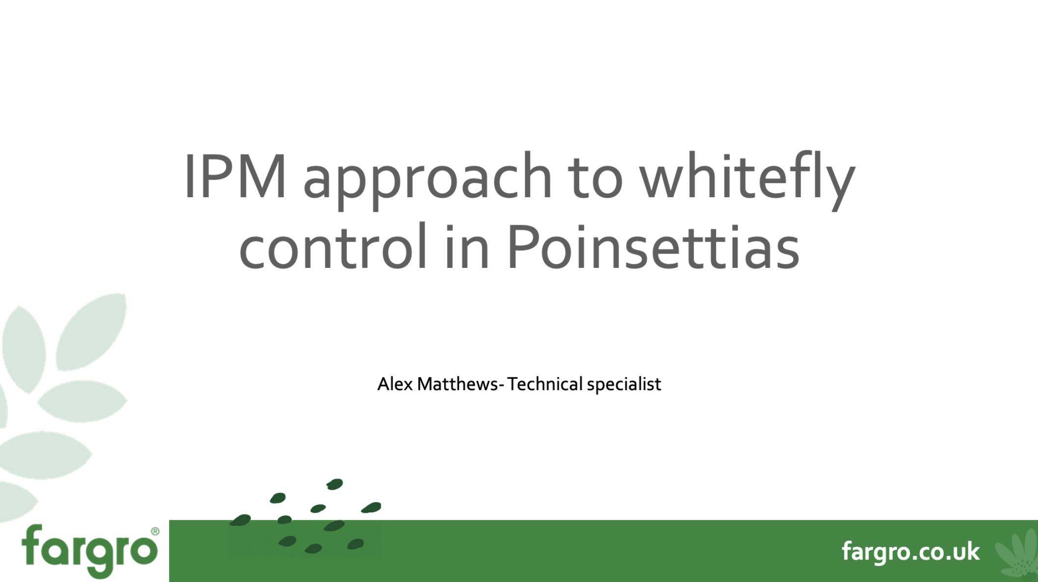 Whitefly control in Poinsettias