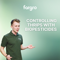 Ant Surrage: Controlling Thrips with Biopesticides