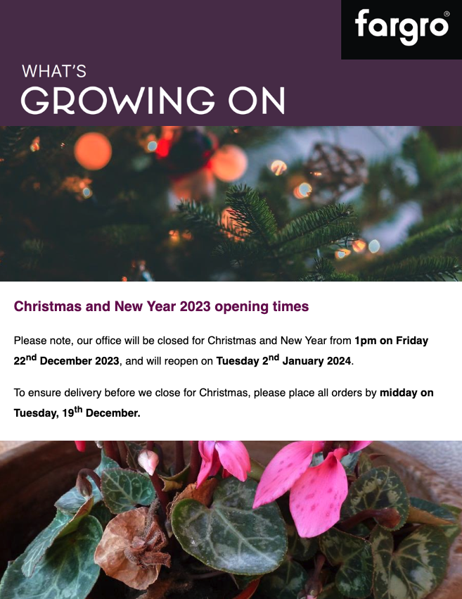 December: 15/12/2023