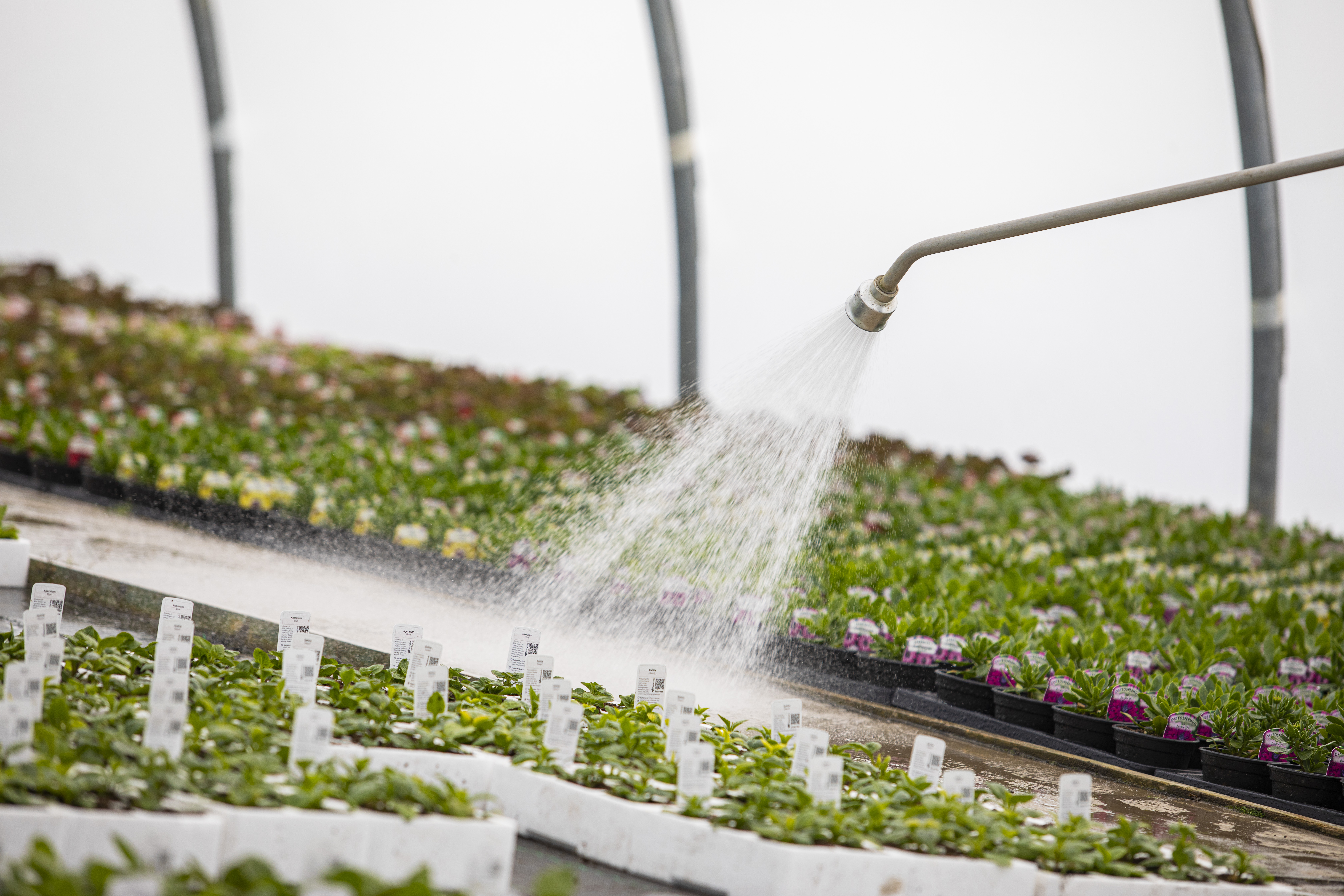 142 Fargro 22.04.21 Copy