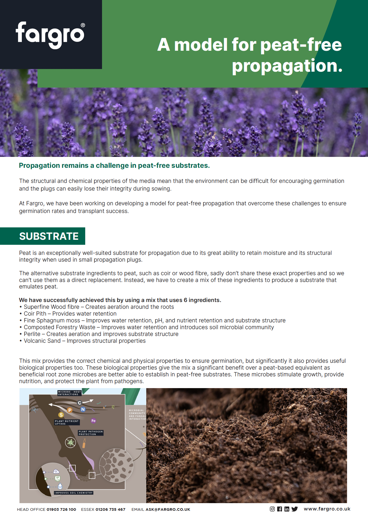 A model for peat-free propagation in perennials