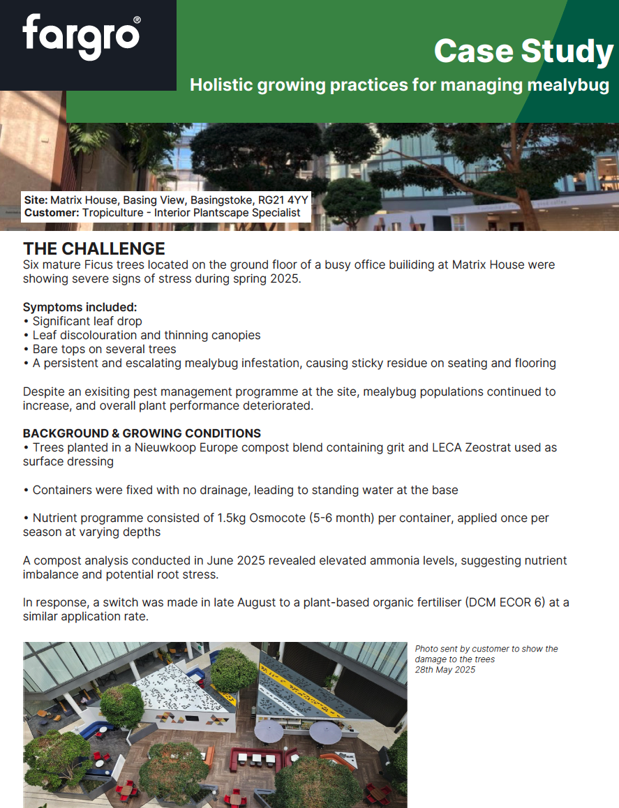 Mealy Bug Management Case Study with PhytoPrime I