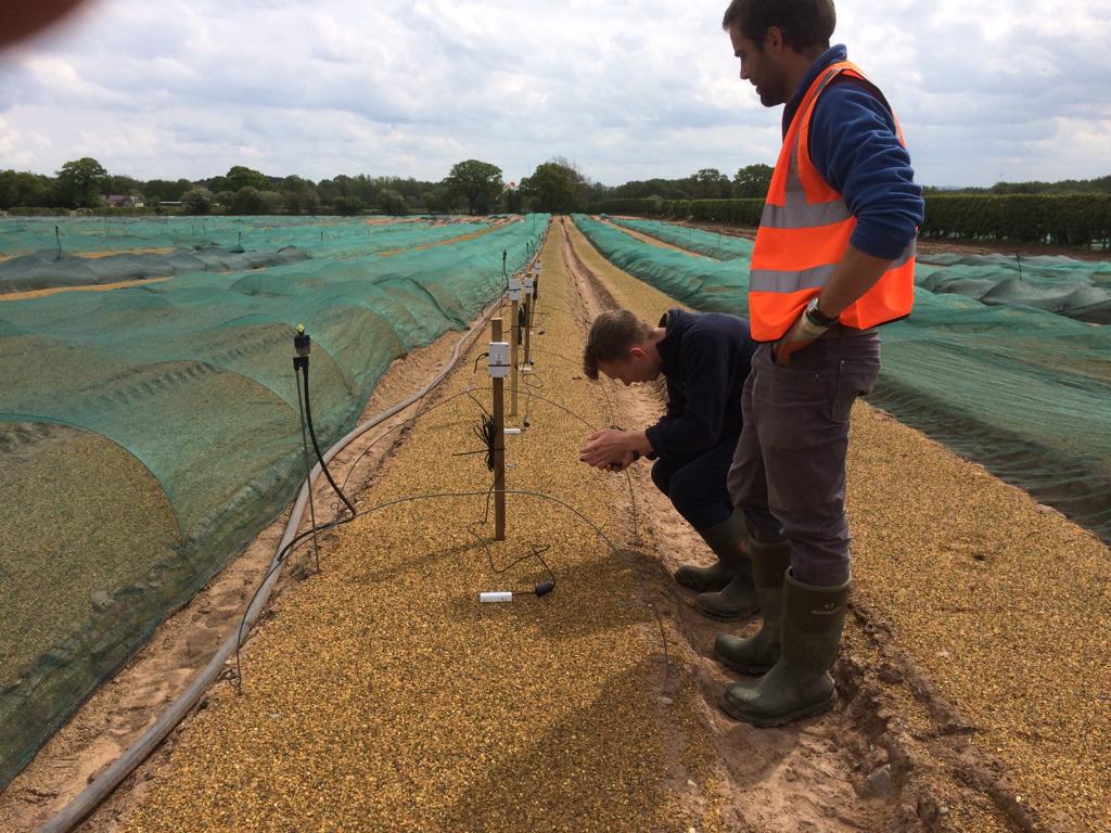 Ant Surrage checking 30MHz system in the field