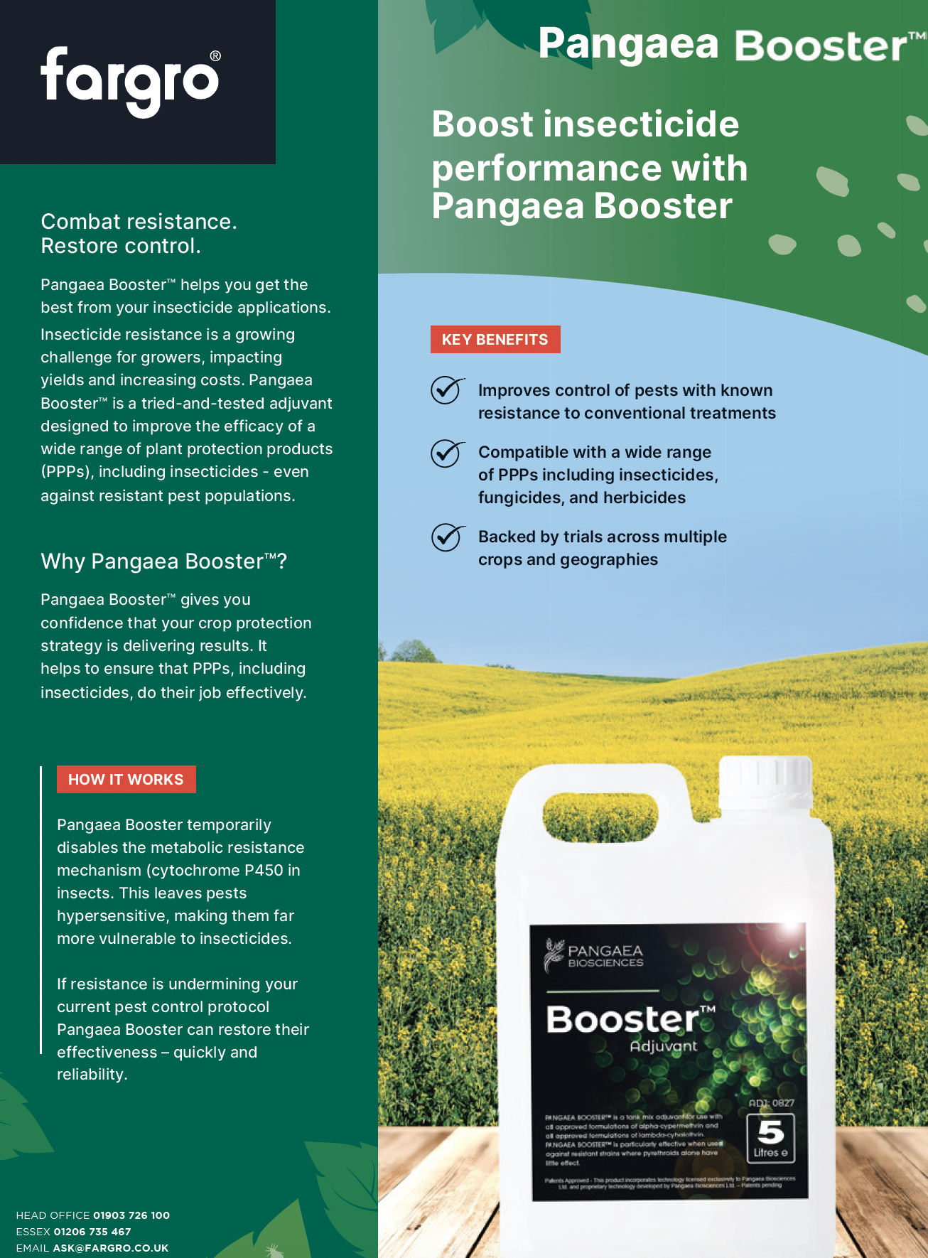 Pangaea Booster Information Booklet