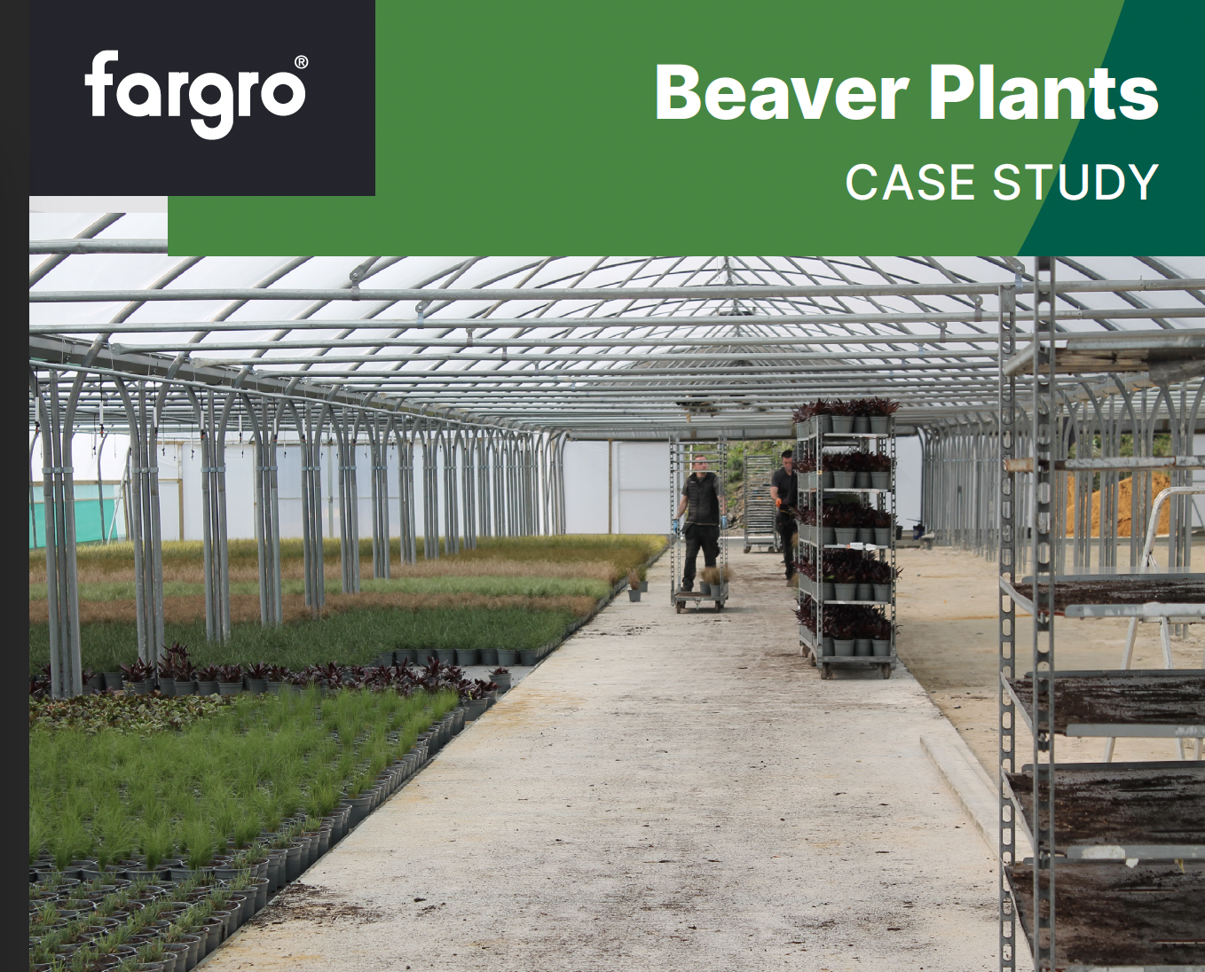 Beaver Plants: Case Study