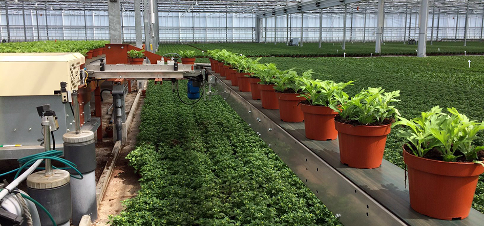 Fargro Hortec Growing Shed Copyright Fargro