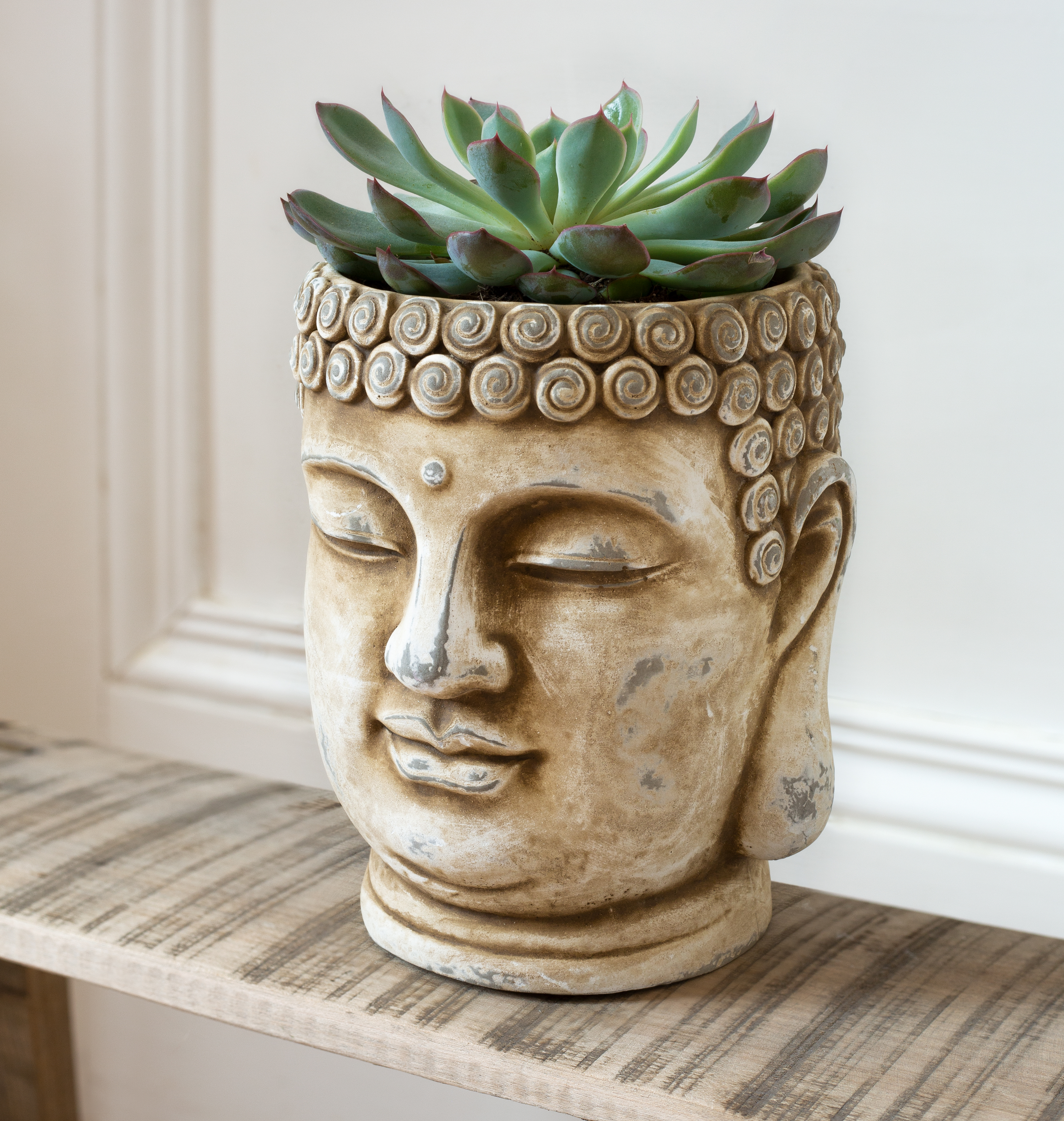 Cement indoor & outdoor pots