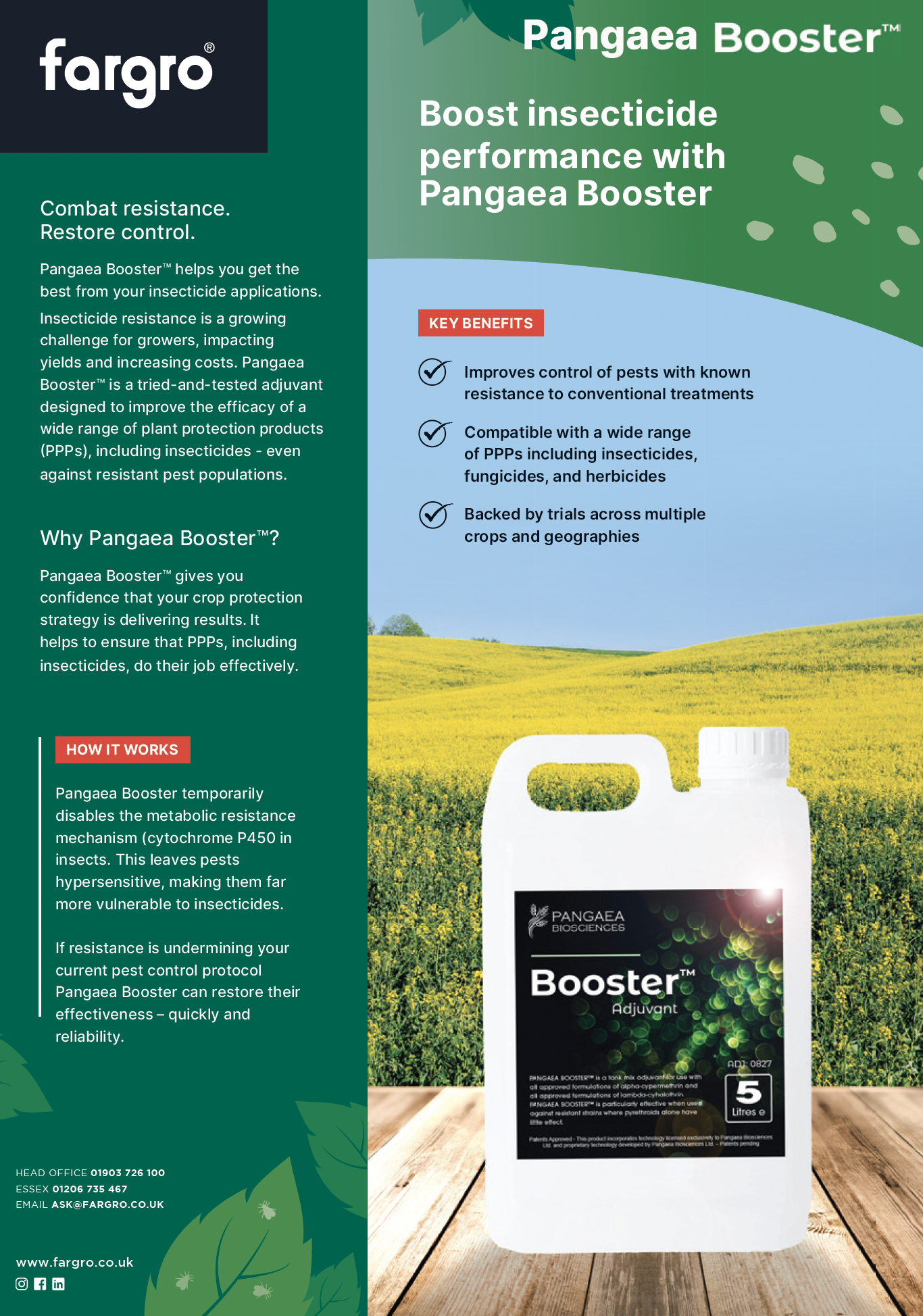 Pangaea Booster Information Booklet