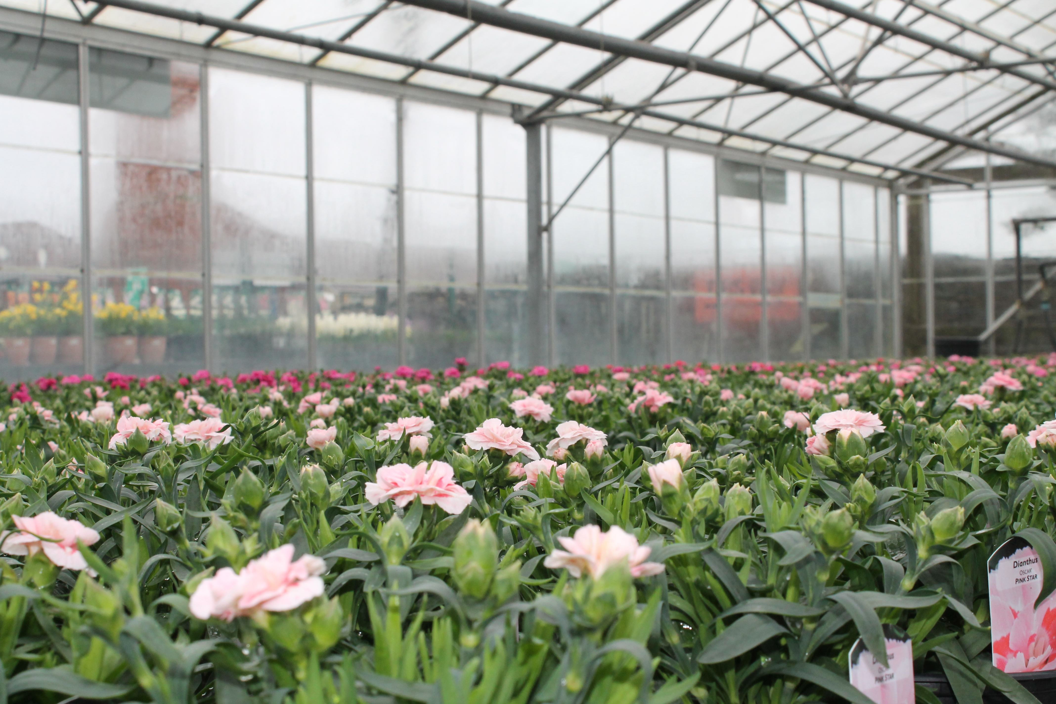 Join us for an expert-led seminar on Holistic Growing practices.